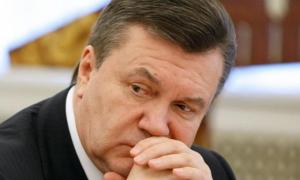 Віктор Янукович пообіцяв врахувати рекомендації Freedom House