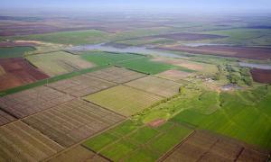 Віктор Янукович у вересні планує розпочати земельну реформу