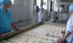 Сирзавод у Рожищі вже «не пахне»