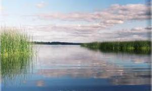 Маневицькі чиновники самовільно надають водні об’єкти в оренду