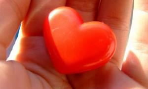 Акція «Серце до серця» на Волині зібрала майже 126 тисяч гривень 