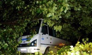 Внаслідок урагану в Одесі зламано понад 500 дерев