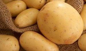 Урожай картоплі значно знизиться через травневу посуху	