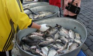 Орендарі водойм отримали місця для продажу свіжої риби