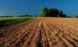 Іноземці не матимуть права купувати українські землі