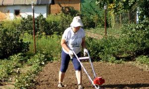 Майже половина українців відпустку планують провести вдома