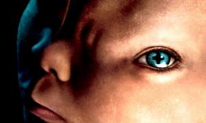 Британські вчені таємно вирощували тварино-людських гібридів