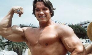 В Австрії відкрили музей Шварценеггера