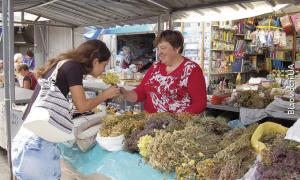 У сім’ї Бардишів таємниці лікування травами передаються у спадок