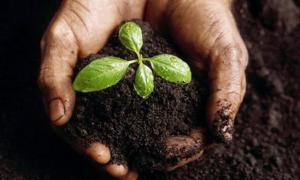 Всі, хто обробляє понад 100 га ріллі, повинні мати проекти землеустрою