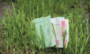 З нового року гектар землі коштуватиме 20 тисяч гривень