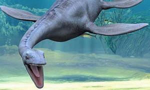 В Антарктиці знайдені останки доісторичного плезіозавра