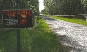 Мисливські угіддя Януковича огороджують триметровим парканом