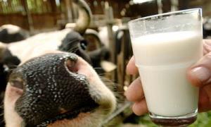 За хороші надої аграрним підприємствам платитимуть по 5 тисяч