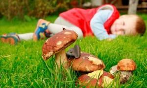 Сім’я отруїлася грибами, зібраними вздовж залізничної колії