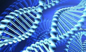 Учені хочуть годувати людей власною ДНК