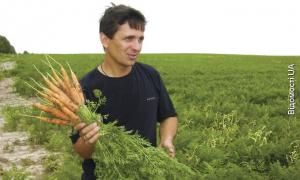 Селяни більше довіряють українським фермерам