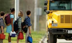 Американські школярі тупіють рекордними темпами