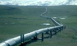 Янукович запропонував прокласти «Південний потік» через територію України