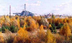 Екологи виступили проти екскурсій до Чорнобильської зони відчуження