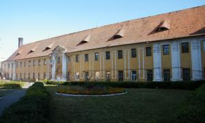 В Олицькому замку, де нині психлікарня, треба міняти дах