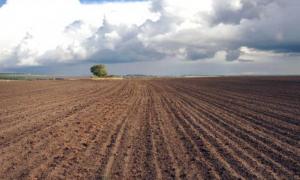 З посівом жита не вкладаються в терміни