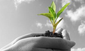 На підтримку сільського господарства у 2012 році виділять 39,9 млрд. гривень