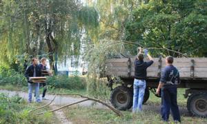 До Луцька повертаються толоки