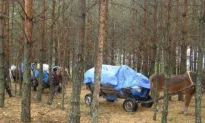 У Білорусь чотирма підводами везли контрабандний трикотаж