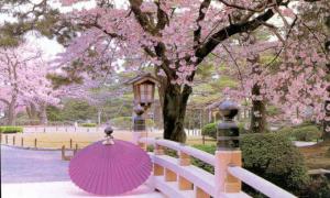 Японія заманює туристів безкоштовними путівками