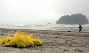 Розлив нафтопродуктів біля Нової Зеландії визнали екокатастрофою