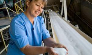 Польські  інвестори зацікавились волинськими цукроварнями