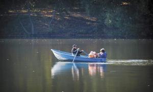Щоб орендувати ставок, на одні лише дозволи треба 15 тисяч гривень