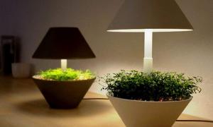 Коротке замикання у настільній лампі спричинило пожежу