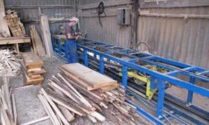 В області нелегально працює 70 пилорам