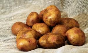 Цьогоріч в Україні картоплі накопали на рекорд