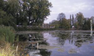 Теремнівські ставки потребують господаря