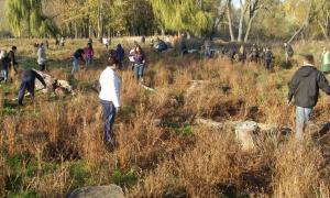 Луцьк озеленюють і діти, і дорослі