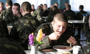 Українську армію й надалі годуватимуть приватні компанії