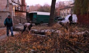 У Луцьку мешканці кількох багатоповерхівок повстали проти будівництва у їхньому дворі бару