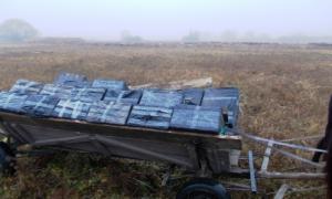 Волиняни хотіли вивезти 20 тисяч пачок сигарет на возі