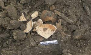 У селі Лаврів Луцького району знайшли поховання XVI-XVII століття