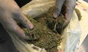 Студент-другокурсник продавав марихуану перед заняттями