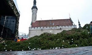 Головну різдвяну ялинку Естонії вкоротять, щоб не падала