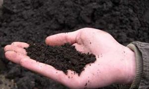 На Волині держакти на землю видають за спрощеною системою