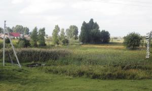 Селяни Гіркої Полонки повернули пасовище та ставок громаді