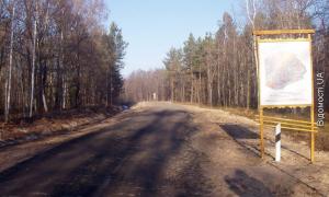 Грибникам та ягідникам Любешівщини буде легше заготовляти лісову продукцію