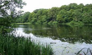 Бюджет Волині поповниться мільйоном за оренду земель водного фонду