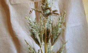 Майстриня з Луцька провела майстер-клас із плетіння солом’яного дідуха