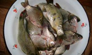 Мати з сином продавали «незаконну» рибу на ринку Луцька